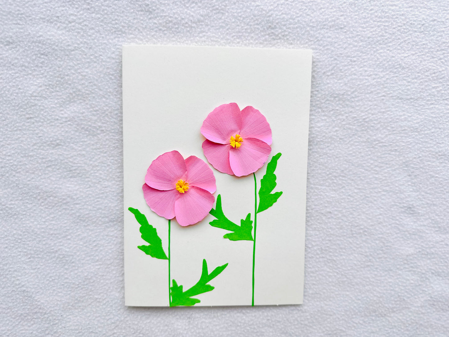 Shirley Poppies