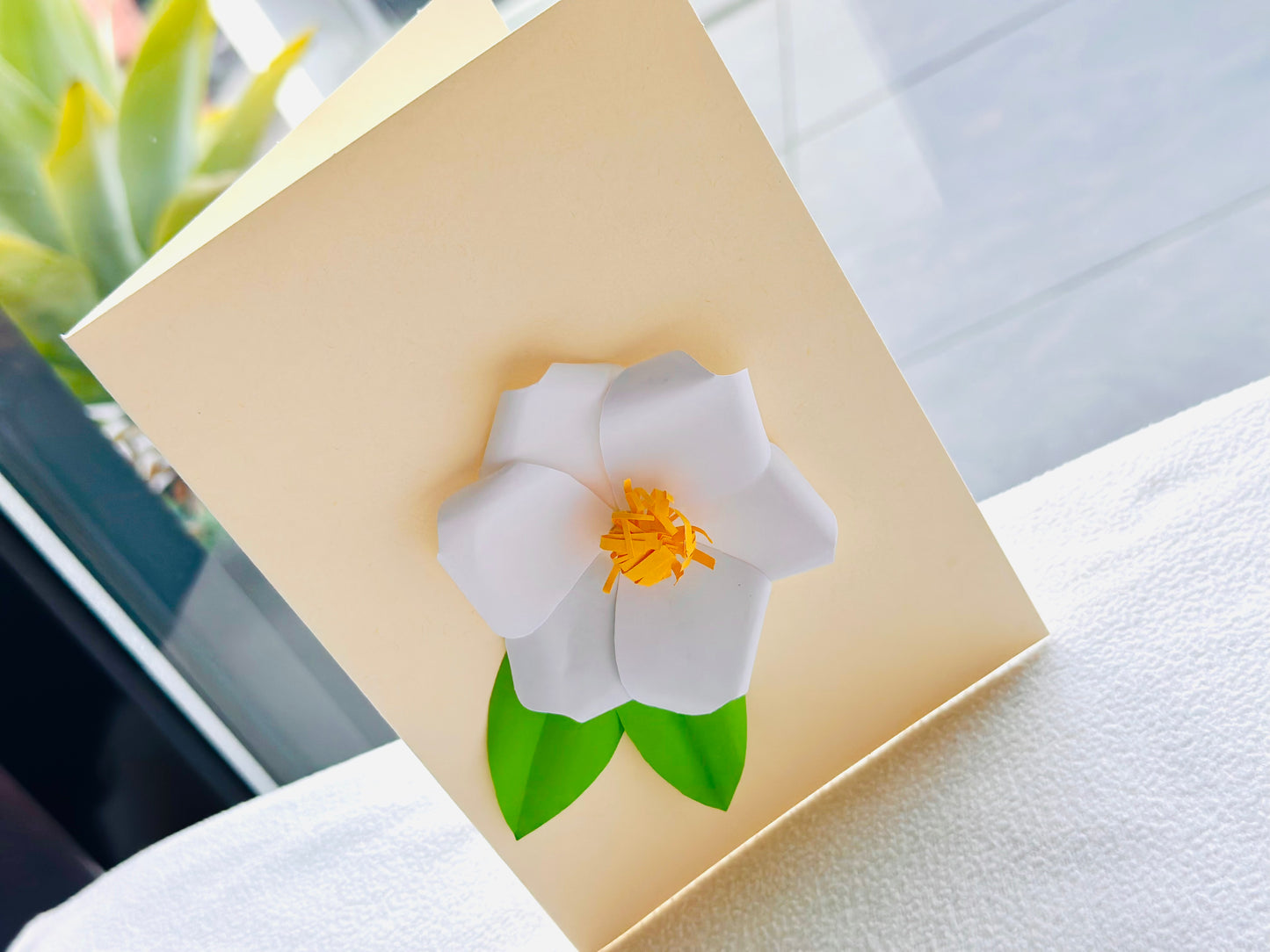 Snow Camellia