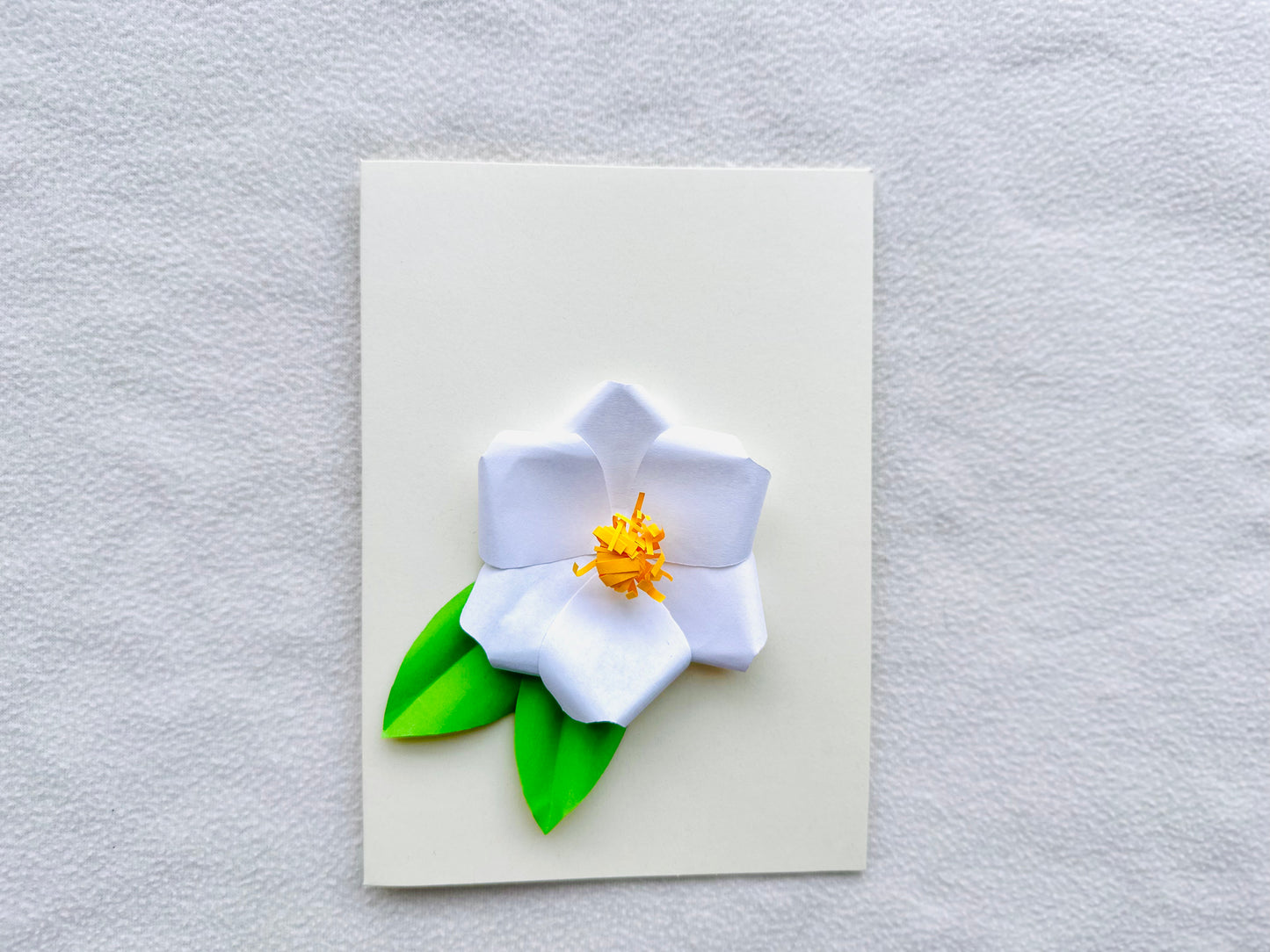 Snow Camellia