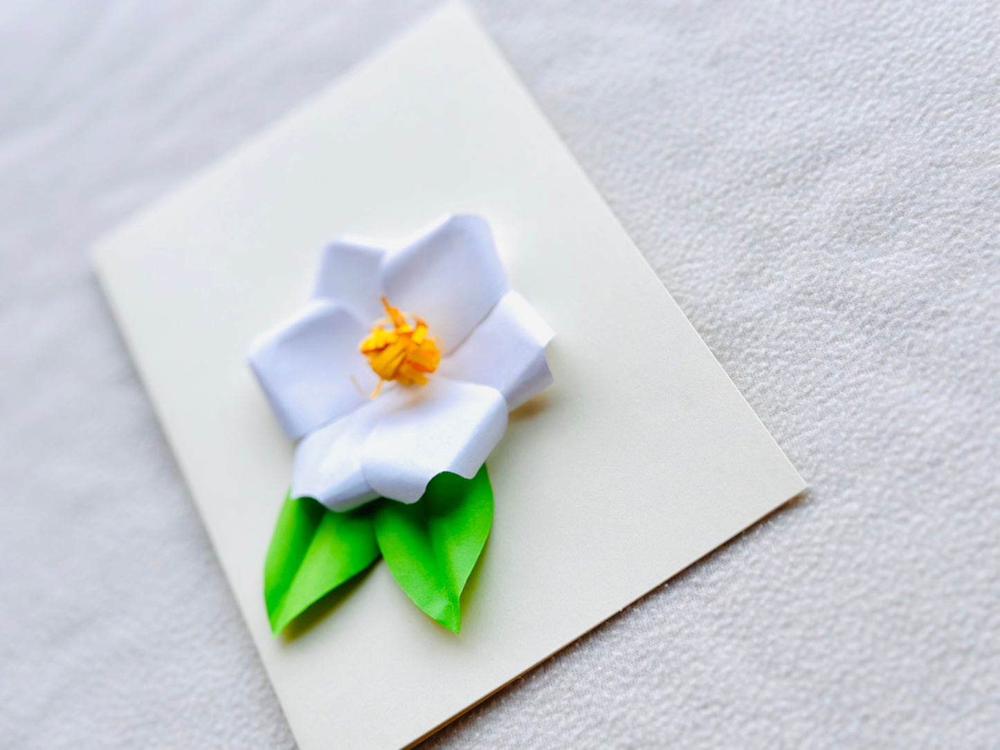 Snow Camellia