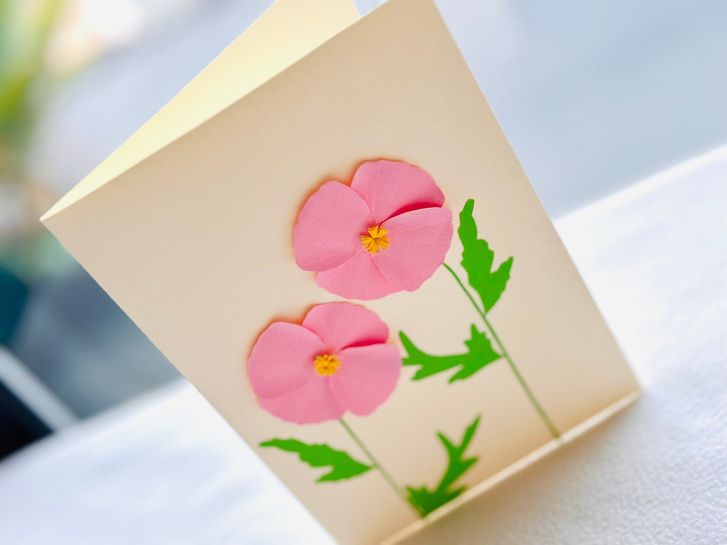 Shirley Poppies