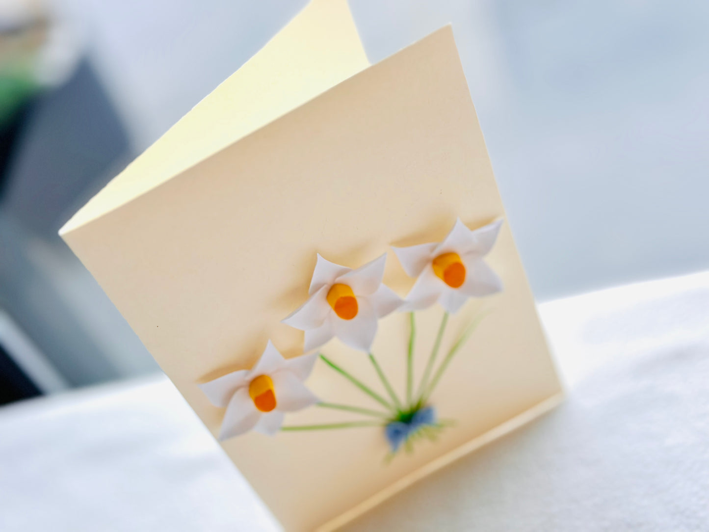 Chinese Sacred Lilies