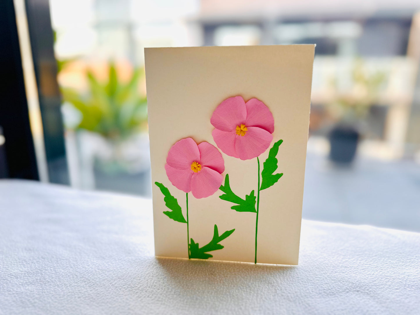 Shirley Poppies