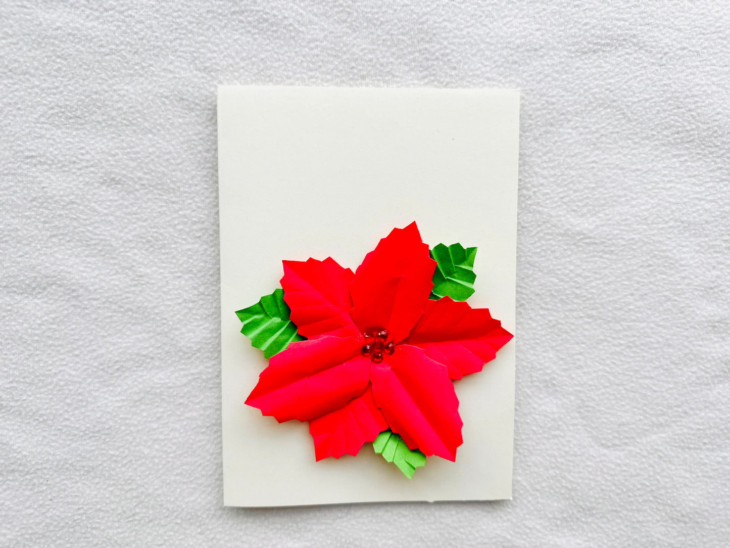 Poinsettia