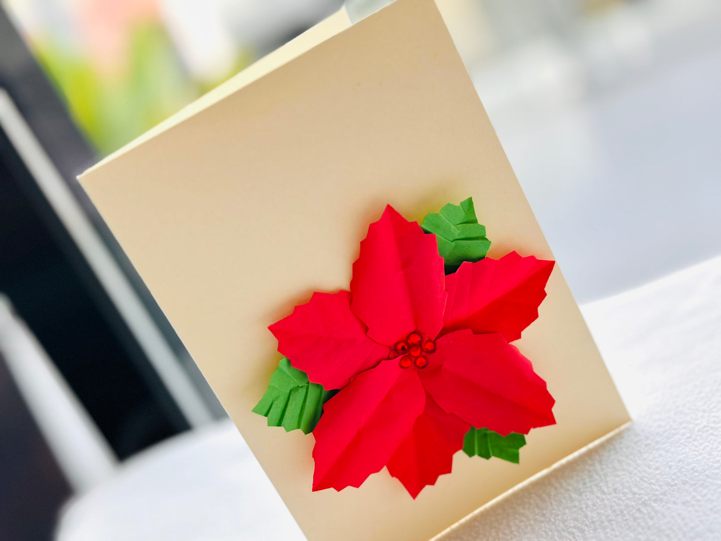 Poinsettia