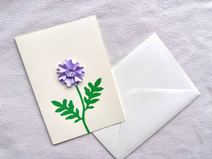 Scabiosa