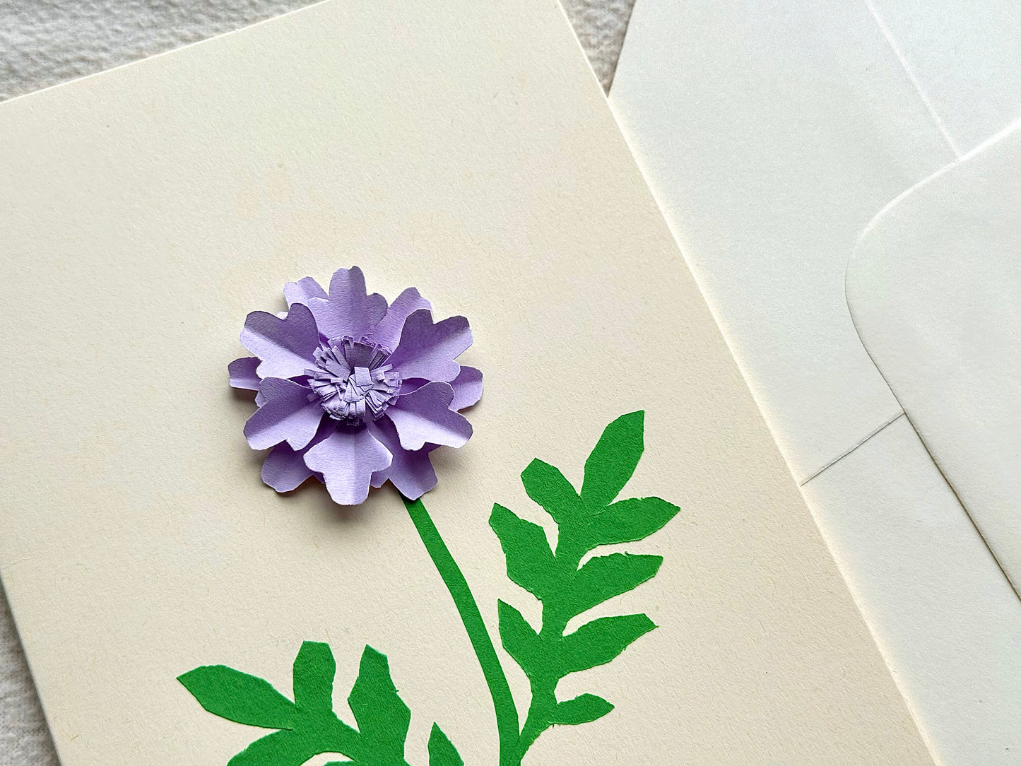 Scabiosa
