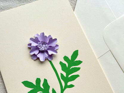 Scabiosa
