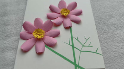 Pink cosmos